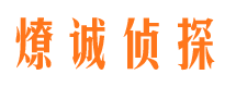 临洮市场调查